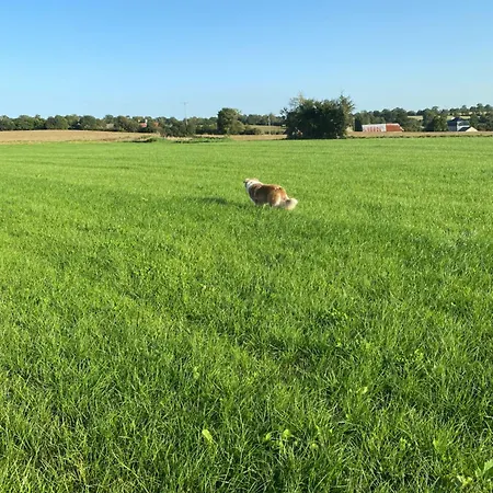 Σπίτι διακοπών La Longere Brectouville